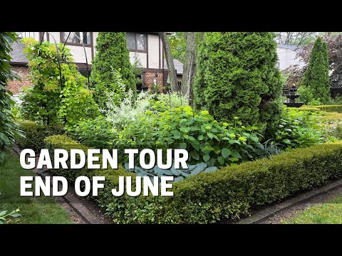 June Garden Tour - Some Things Are Looking Rough