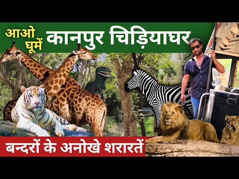 🦁 KANPUR ZOO. Anokha Chidiyaghar . जंगली जानवर और बन्दरों की शरारतें। VLOG । #zoo #wildlife