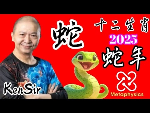 ㊙️🐍生肖【蛇】｜2025年｜蛇年十二生肖｜運程預測｜#十二生肖 #2025年 #蛇 #astrology