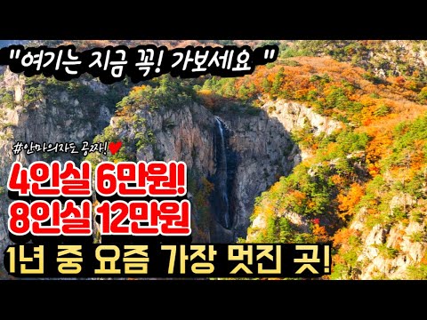 지금이 1년 중 가장 아름다울 때라 꼭 가야하는 4인 6만원 가성비가 아주 좋은 숙소ㅣ경치가 너무 멋있고 깨끗한 숙소 추천ㅣ너무 만족해서 자신있게 추천하는 여행지ㅣ가을여행