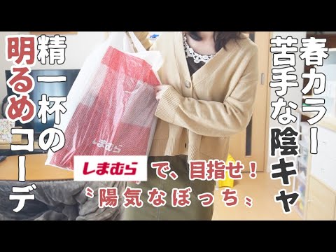 【しまむら】せめて明るいぼっち主婦に見える春コーデを考える【ママ友ゼロ/購入品紹介/アラサーファッション】