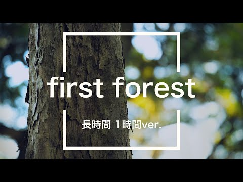 【フリーBGM】first forest 1時間版【木琴/耐久動画】