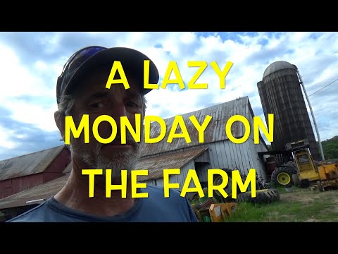 A Lazy Monday on the farm