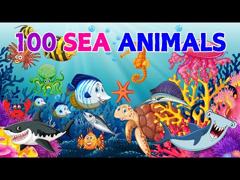 100+ Sea Animals Name | Learn Aquatic animals names and Video | Ocean Animals | English Vocabulary