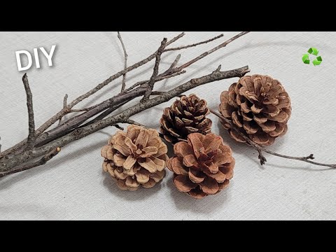 I make MANY and SELL them all! Genius Recycling Idea with Pine cone and tree branch - Amazing trick