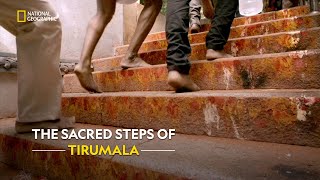 A Sacred Journey to Lord Venkateswara | Inside Tirumala Tirupati | हिंदी | S1 - E1 | Nat Geo