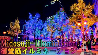 【大阪】御堂筋イルミネーションを撮影しながら大阪難波から本町まで   Osaka Midosuji Illumination 2024