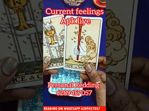 Current feelings for you#shortsfeed#shortsvideo#shorts#viralvideo#tarot