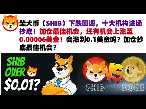 柴犬币（SHIB）下跌回调，十大机构进场抄底！加仓最佳机会，还有机会上涨至0.00006美金！会涨到0.1美金吗？加仓抄底最佳机会？#shib币#柴犬币#屎币行情分析！