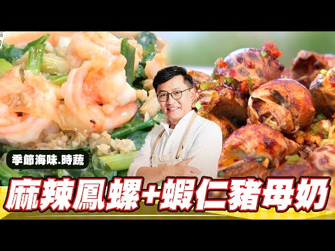 《料理廚神》一吃上癮麻辣鳳螺 茉莉蝦仁豬母奶脆鮮可口