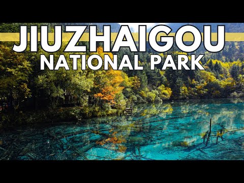 Jiuzhaigou National Park: A Nature's Paradise Unveiled | China Travel Guide