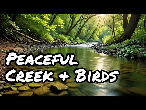 Tranquil Forest Ambience: Flowing Creek & Bird Songs for Relaxation