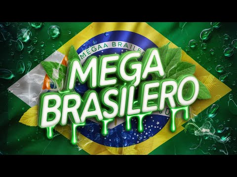 MEGA FUNK BRASILERO 2024 🔥 ENGANCHADO PERREO FUNK (PERREO VS BRASILERO 2024) - DANI NAVAS