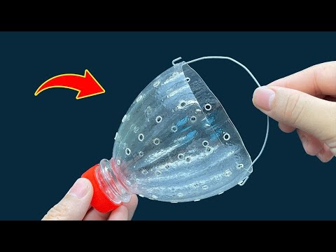 6 Amazing Daily Tips That Work Extremely Well |  Best Plastic Bottle Craft Ideas