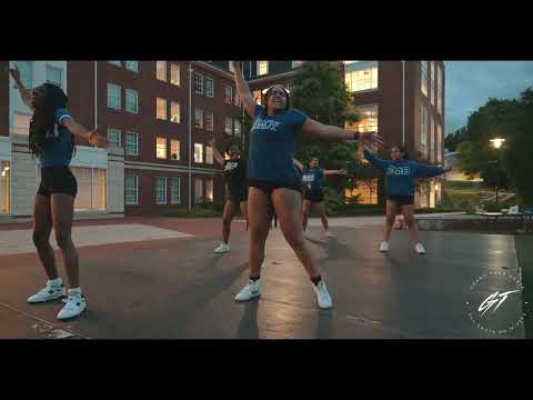 ZETA PHI BETA SORORITY, INC. (UNIVERSITY OF DELAWARE YARD SHOW '24)