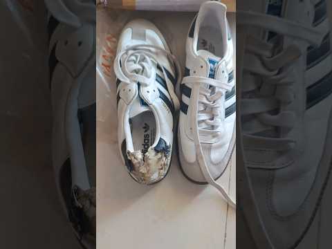 Adidas Samba for repair ( from Mumbai ) #adidas #samba #repair #restoration