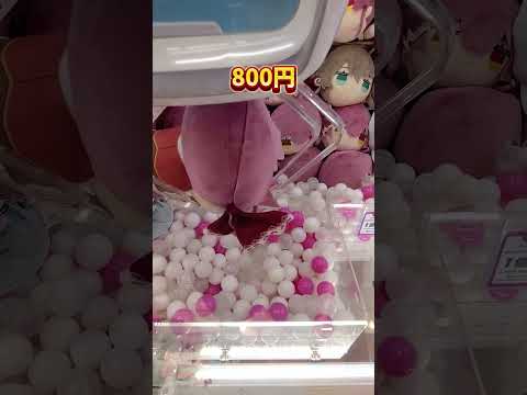 PaiPai Kamen's CRAZY UFO Catcher Wins!