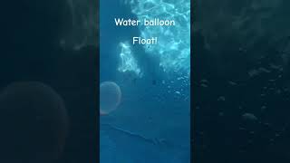 Sink or float, water balloon! #sinkorfloat #random #suscribe