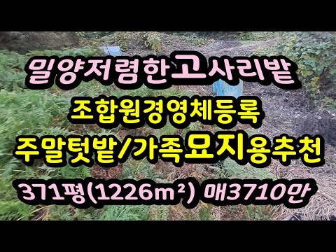 밀양상남면 저렴한 고사리 밭떼기매매 농업경영체등록용 묘지용 매3710만