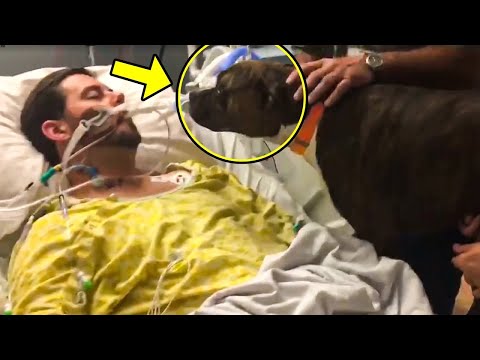 Dying Man Says Final Goodbye To His Dog, But The Dog's Reaction Will Make You Cry!