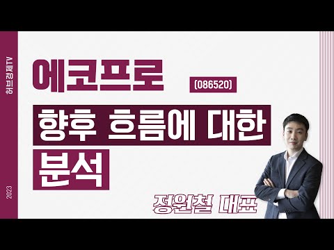 에코프로 (086520) - 향후 흐름에 대한 분석