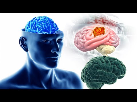 🧠 Immediate BRAIN Repair 🧠 Your Body Will Have Clear Changes, Full Body Massage (432Hz+528Hz)