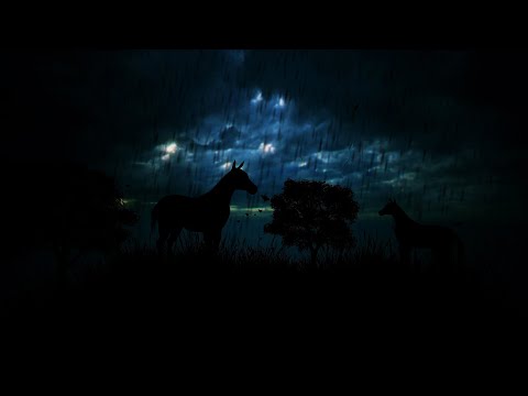 Gentle Rain and Thunder Sounds for Sleeping in a Field of Horses | Dimmed Screen Thunderstorm