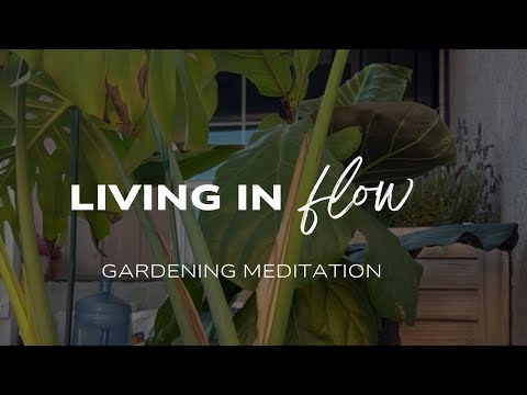 Mindful Gardening 🪴 #mindfullnesspractice #gardening #gardeningideas