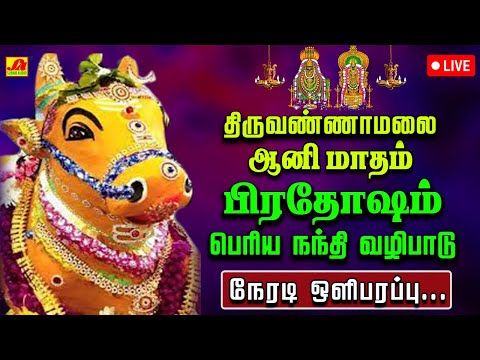 🔴  LIVE திருவண்ணாமலை ஆணி  மாத  பிரதோஷம் பெரிய  நந்தி அபிஷேகம் மற்றும் ஆராதனை  #liveproadhasham #live