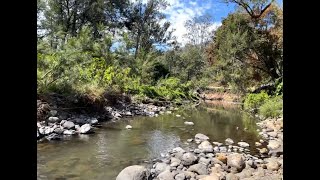 Darlington & Burgess Camping Grounds Campsite Review - Cocker Family Adventures