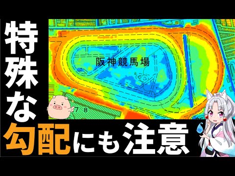 阪神競馬場コース解説【偽りの速い上がりに注意】