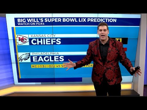 Super Bowl LIX Predictions