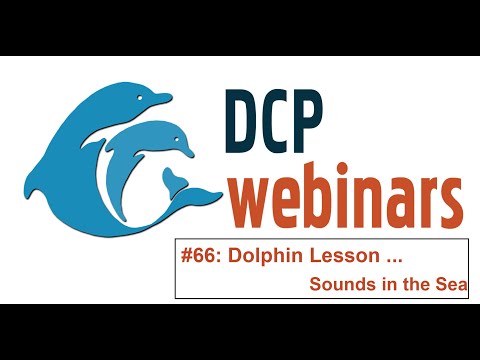 DCP Dolphin Lesson: Sounds in the Sea, Listening to Learn