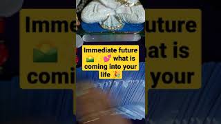 Immediate future 💸🕊️🌻🌟# shorts#111 intuitive tarot