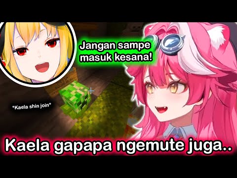 Raora Waktu Lagi Grinding Tiba" Ada Kaela Shin Bantuin, Banyak Dibikin Bingung ww..