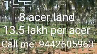 Coconut farm for sale in Coimbatore/pollachi/Tiruppur/land for sale/agriculture land for sale