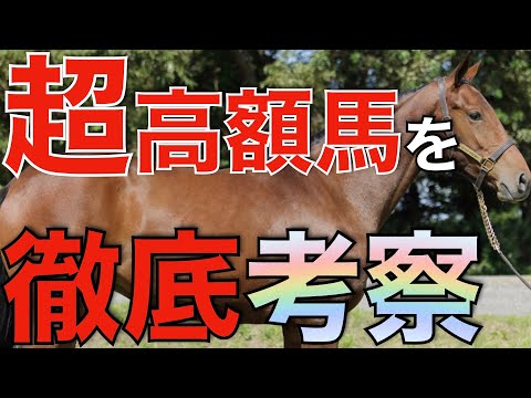 話題のレイデオロ産駒は満口となるか？最高額募集馬たちを徹底考察。