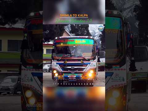 Shimla to Kalpa with HRTC Zehreeli Pahadan | #shorts #himbus