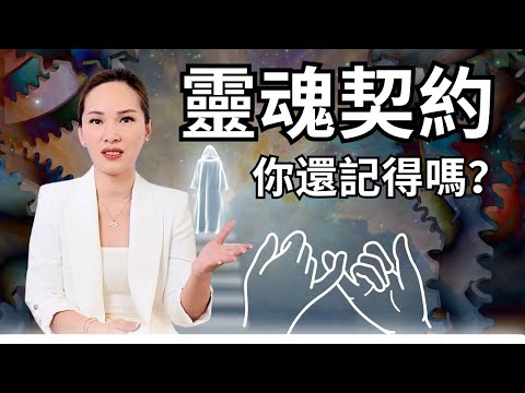 你還記得你的靈魂契約嗎？忘了需要重來..... | 宇宙姐姐