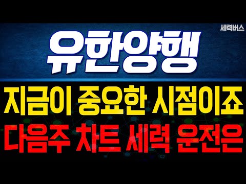 유한양행 주가 전망. 다음주 세력 운전은 이렇게 이어집니다. 미리 준비할게요. (핵심 편집)