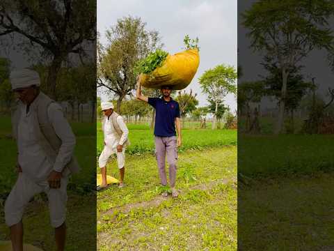 Bapu 😍#minivlog #farming #trending #viralvideo #shorts