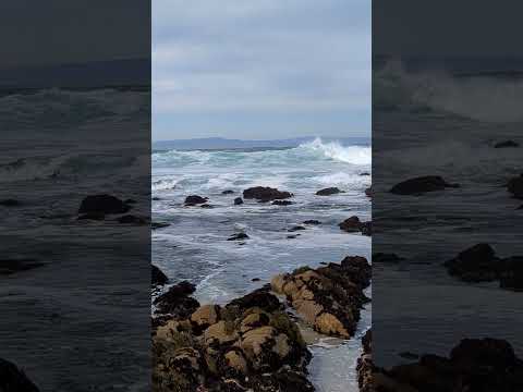 Pacific Grove California. Monterey Bay. Surfs Up!!