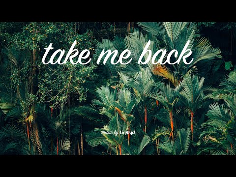 LiQWYD - Take me back [Official]