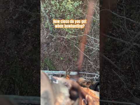 How close do you get when bowhunting? | N1 Outdoors