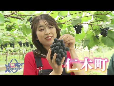 『高級ぶどうが食べ放題！仁木町の旅』【見逃し配信】 LOVE HOKKAIDO♯528　2024/9/28（土）放送