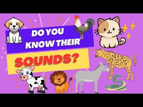 Animal Sounds