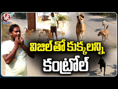 Nizamabad Govuri Alai Incredible Dog-Handling Skills | V6 News