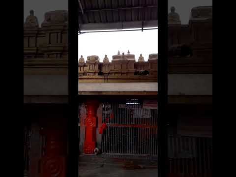 kondagattu anjanna swamy Temple jai Hanuman #ytshorts #hanuman #kondagattu #jaisriram #shorts