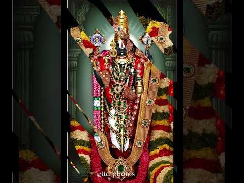 Sri Venkateshwara Suprabhatham | Sindhu Raghupathy #shorts