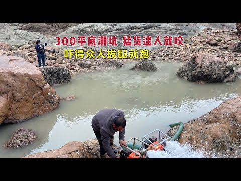 【阿向趕海】等待半年才能抽的300平大坑 猛貨逮捕人就咬 眾人拔腿就跑 可怕極了